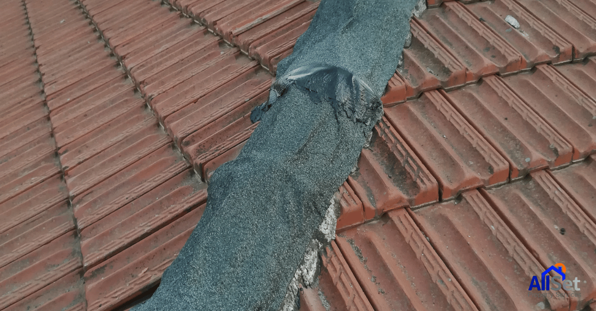 Roof Repairs