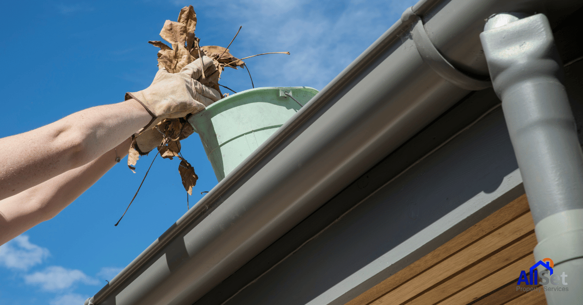 It’s Been Over a Year Since Your Last Cleaning