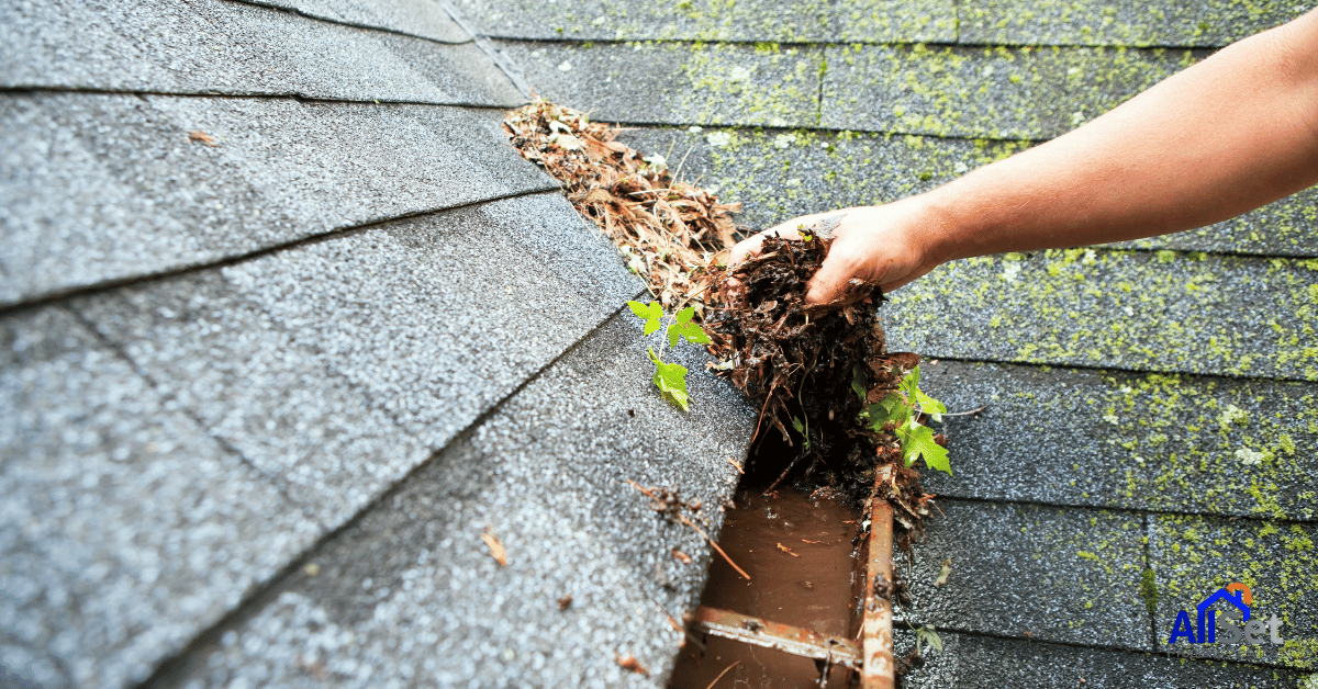 4Gutters Need Professional Cleaning