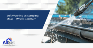 Soft Washing vs Scraping