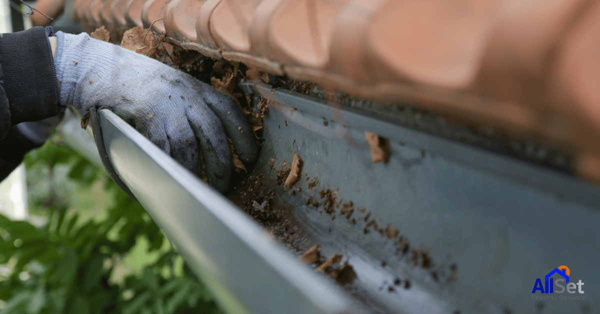 Clean Gutters