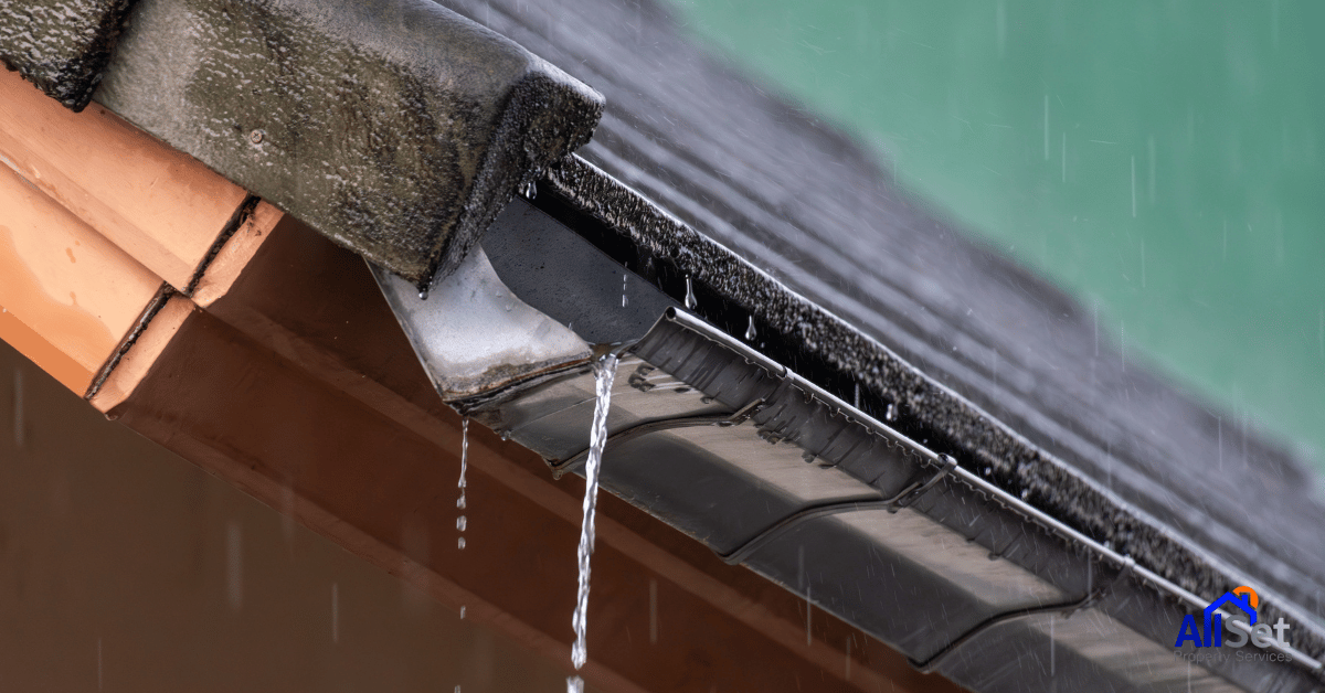 Gutter Leak